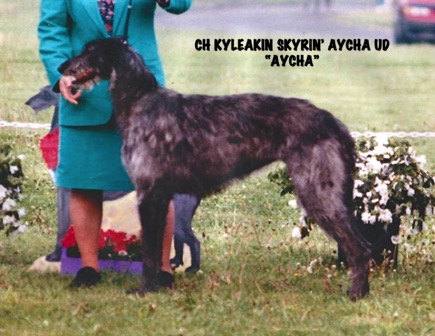 AYCHA 75.jpg